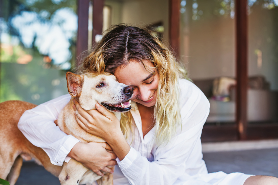 pet funeral pet memorial